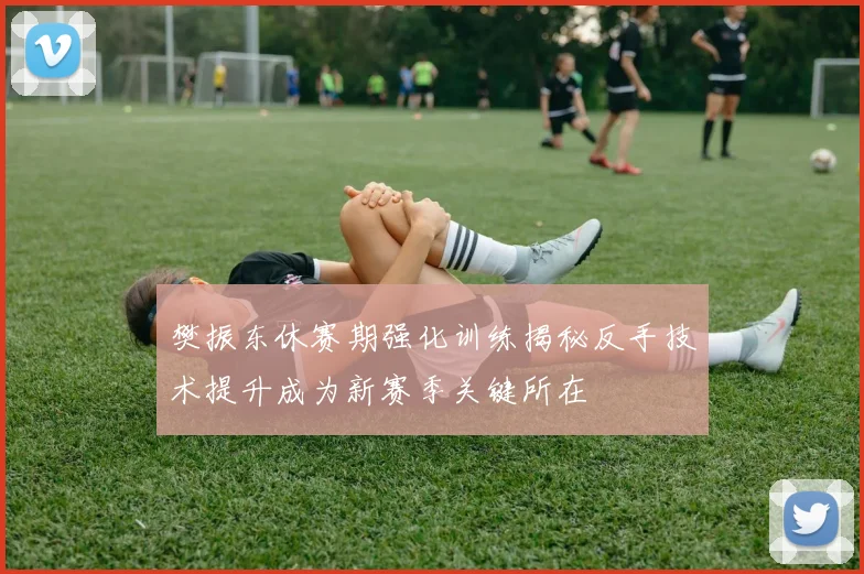 樊振东休赛期强化训练揭秘反手技术提升成为新赛季关键所在